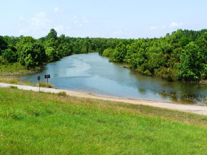 Cat Island's Bald Cypress Trail In Louisiana Will Lead You Straight To The Largest Bald Cypress Tree In The Country