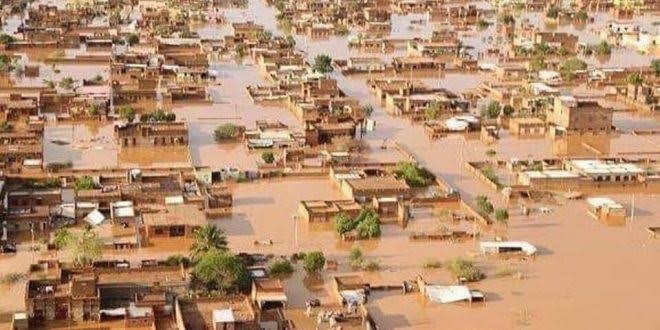 20 Photos Of Houses And Farmland Destroyed By Flood In Jigawa State - Opera  News