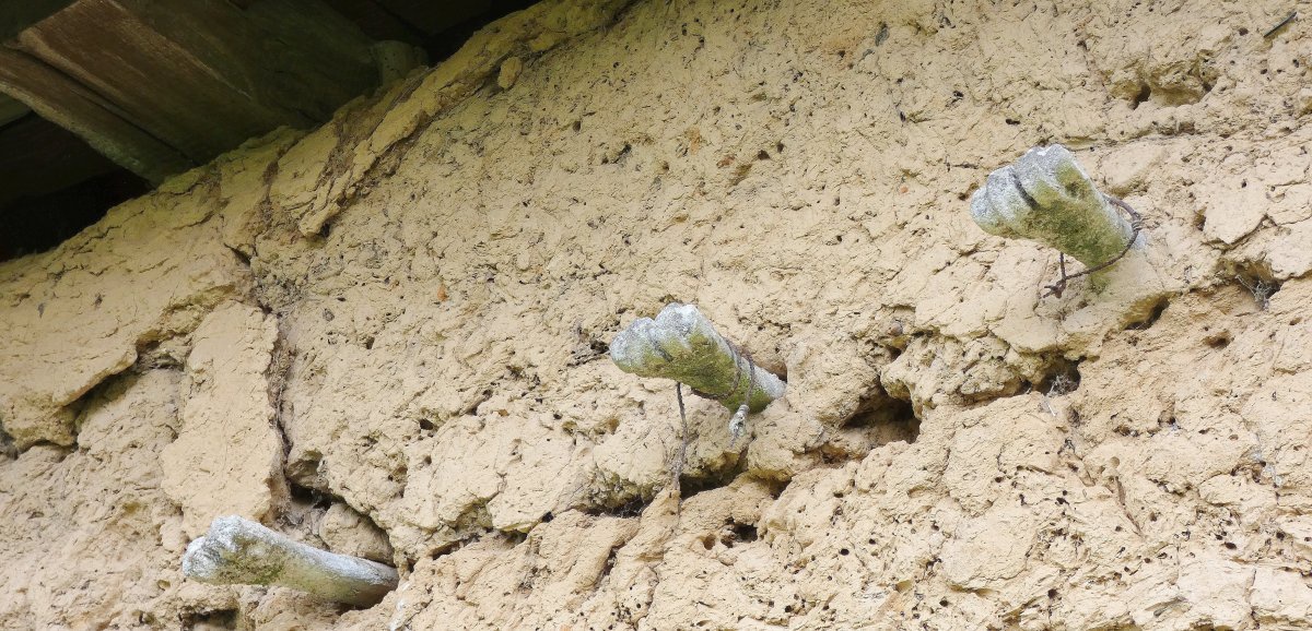 Le Mesnil Durdent Promenade Insolite Deux Jardins Pas Comme Les Autres Opera News