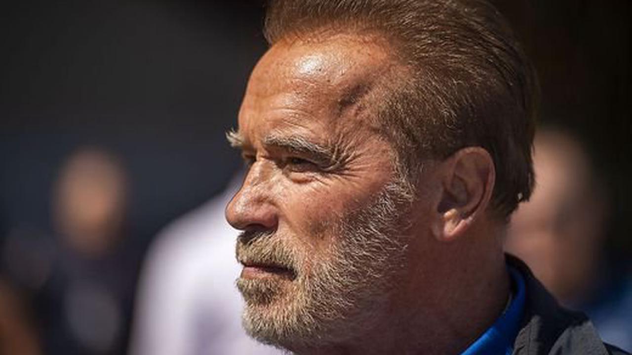 Neuer Film? |Bei Zeus! Arnold Schwarzenegger gibt Rätsel auf