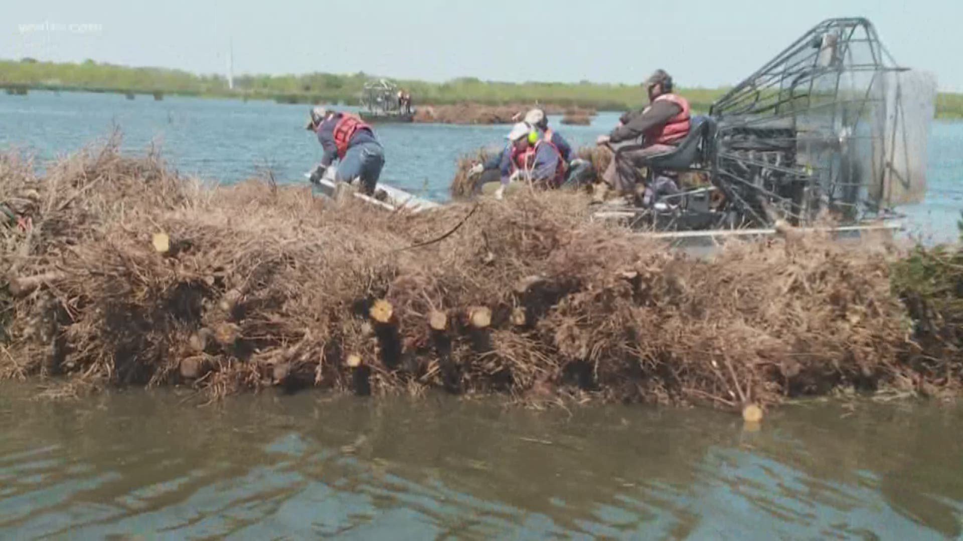 Jefferson Parish Christmas Tree Recycling 2022 Jefferson Parish Announces Christmas Tree Pickup/Recycling Dates - Opera  News