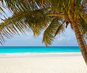 Top Secret Of Enjoying Comfort In Time Of Affliction Opera News