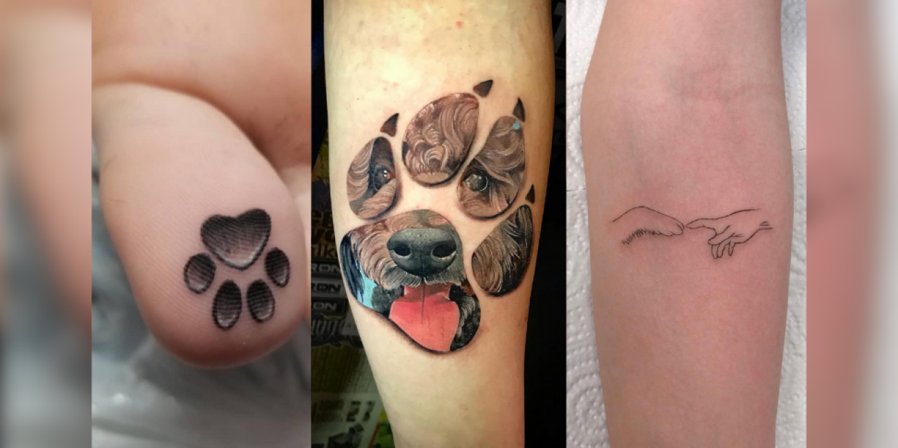 La Tendance Du Moment Se Faire Tatouer Les Empreintes De Son Chien Opera News