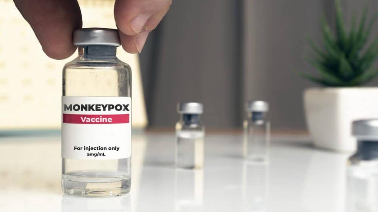 Historique, nombre de cas, vaccins : où en-est l’épidémie de variole du singe en Europe ?