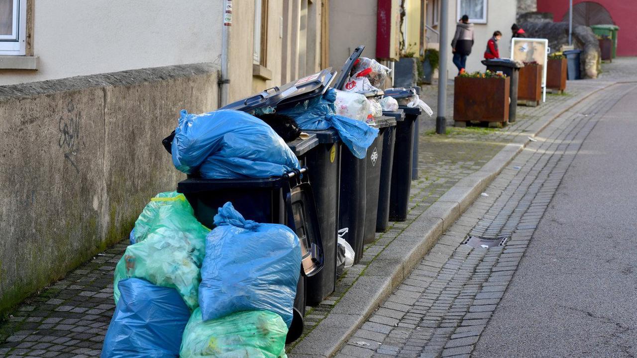 Schwere Mängel bei der Abfallentsorgung: Jede Menge Müll in der Besigheimer Altstadt