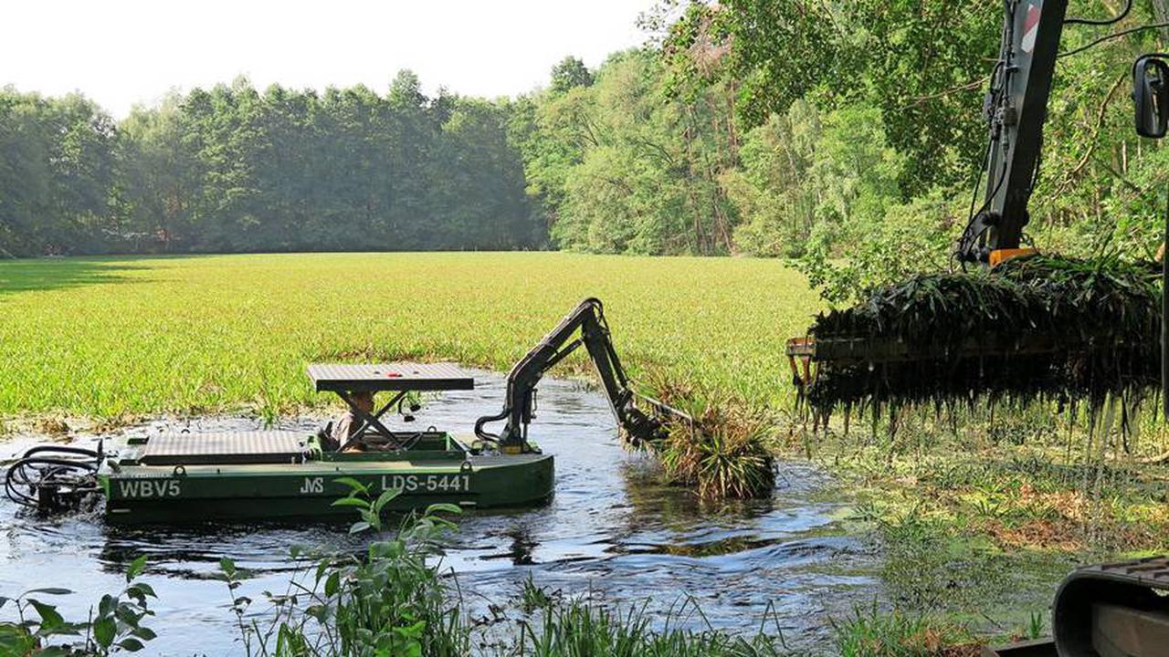 Kostenpflichtig﻿Gottsdorf: Teich an der Klinkenmühle ist umgekippt und stinkt – jetzt wird entkrautet