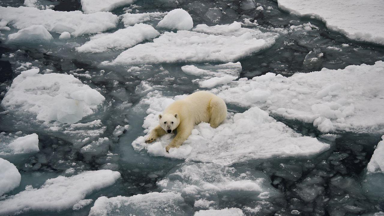 Climat : l’Arctique se réchaufferait quatre fois plus vite que le reste de la Terre