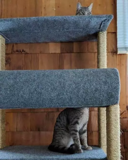 f0c81dafe6ce83f43114bd132113dcd7?quality=uhq&format=webp&resize=720&watermark=true