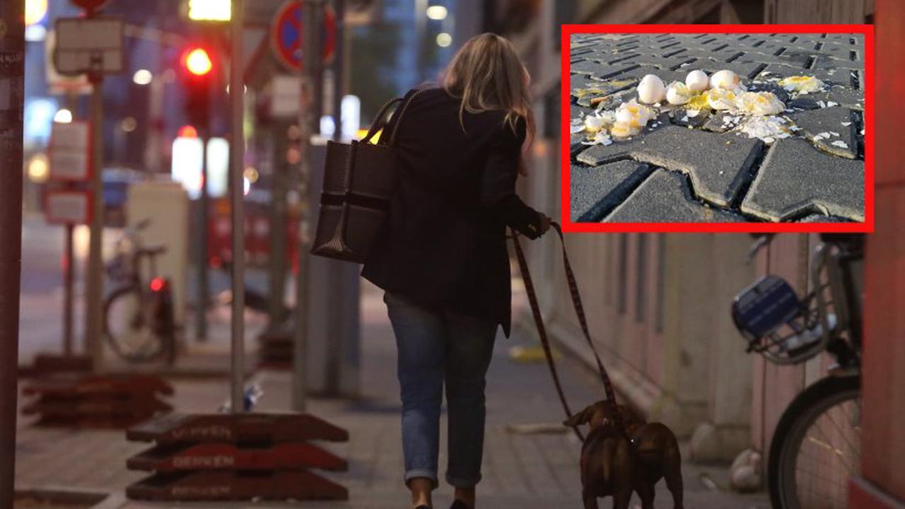 Jena: Frau geht mit Hund spazieren – dann donnert plötzlich DAS auf sie nieder