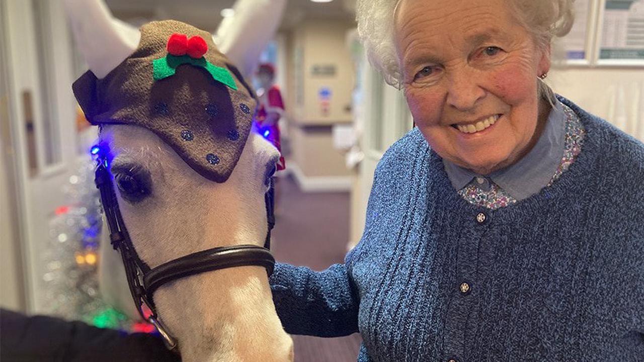 CLIP-CLOP: Banjo the pony makes special visit to care home