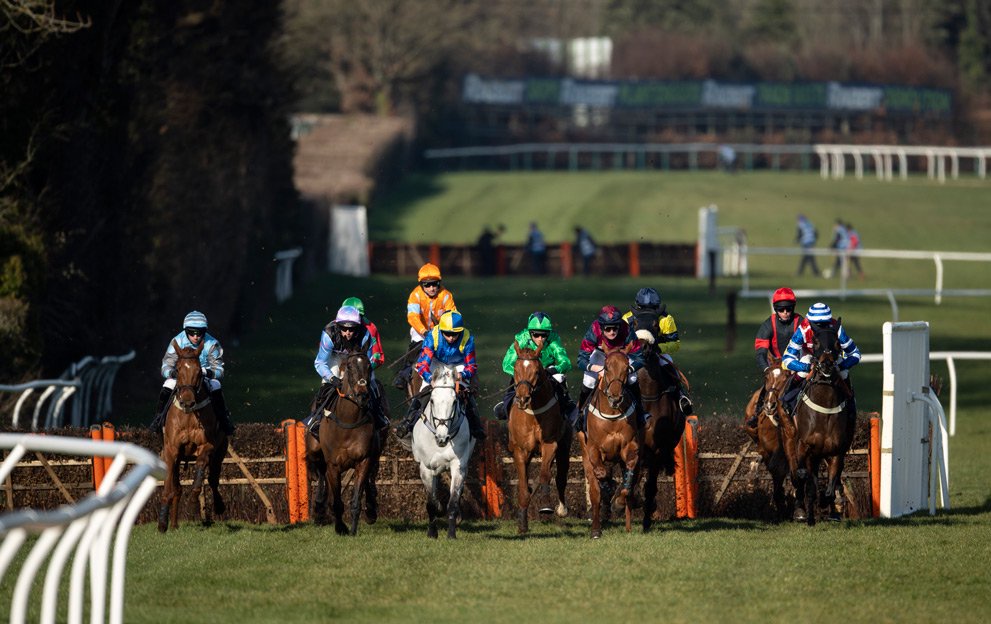 Horse Racing Tips A 7 1 Play Leads The Way At Fontwell Today Opera News