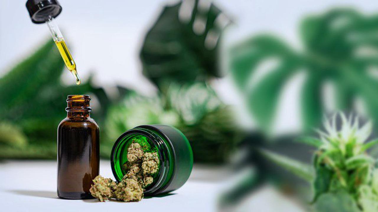imc: Hochwertiges und günstiges Medizinalcannabis in allen Darreichungsformen: imc senkt jetzt auch die Preise für …