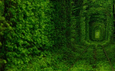 f57a0f1e5e2c3aa22c2f638b9e511677?quality=hq&format=webp&resize=720&watermark=true