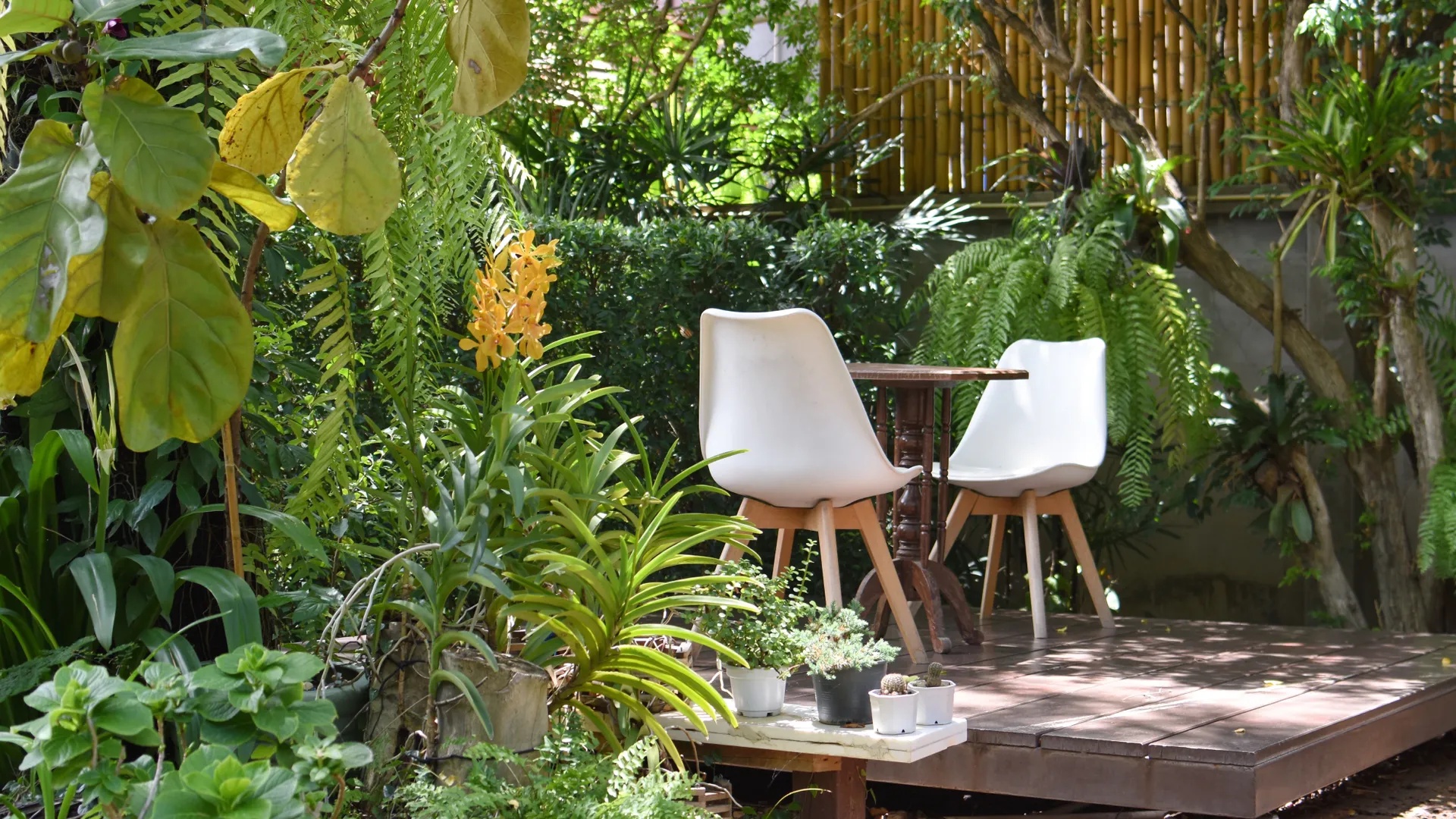 Is Vinegar Safe for Deck Cleaning? Experts Explain What Works Better