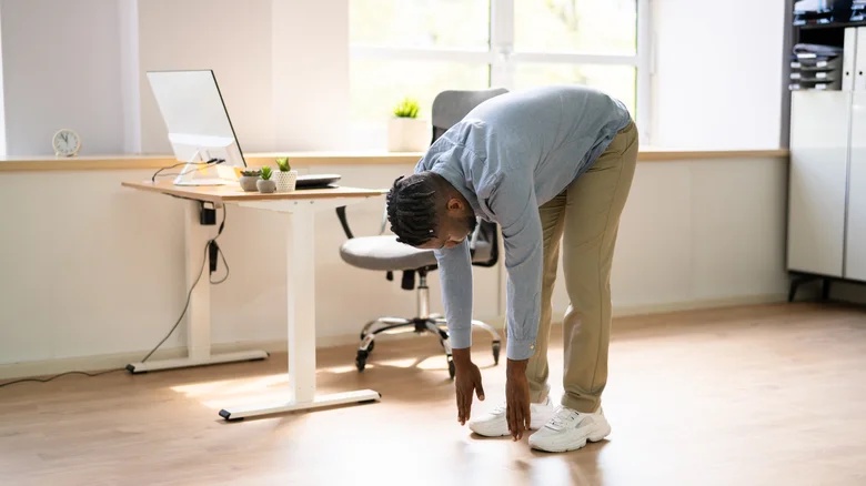 Not the Heart or Brain: Scientists Say the Bladder Can Quietly Reflect Good Health