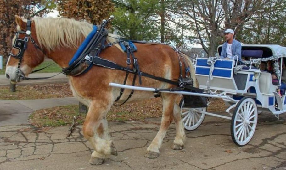 Desloge Christmas Parade 2022 Christmas In The Park And Santa Parade Return To Desloge Saturday - Opera  News