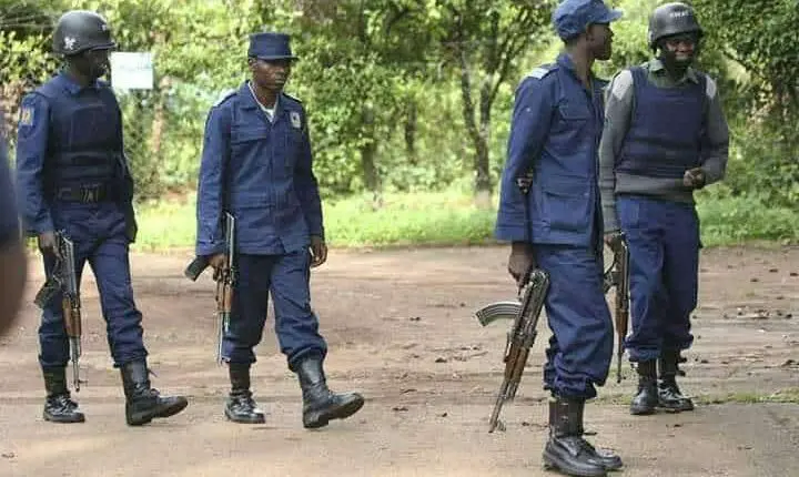 Zimbabwe Police shot two people dead in Tarkka timber forest in Manicaland, the ZPR spokesperson has said.