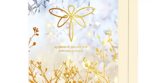 Calendrier de l avent bleu libellule 2023