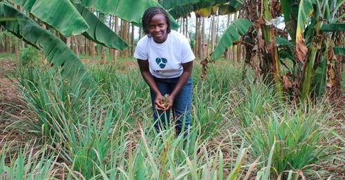 Engineer smells the money in herbs, spices