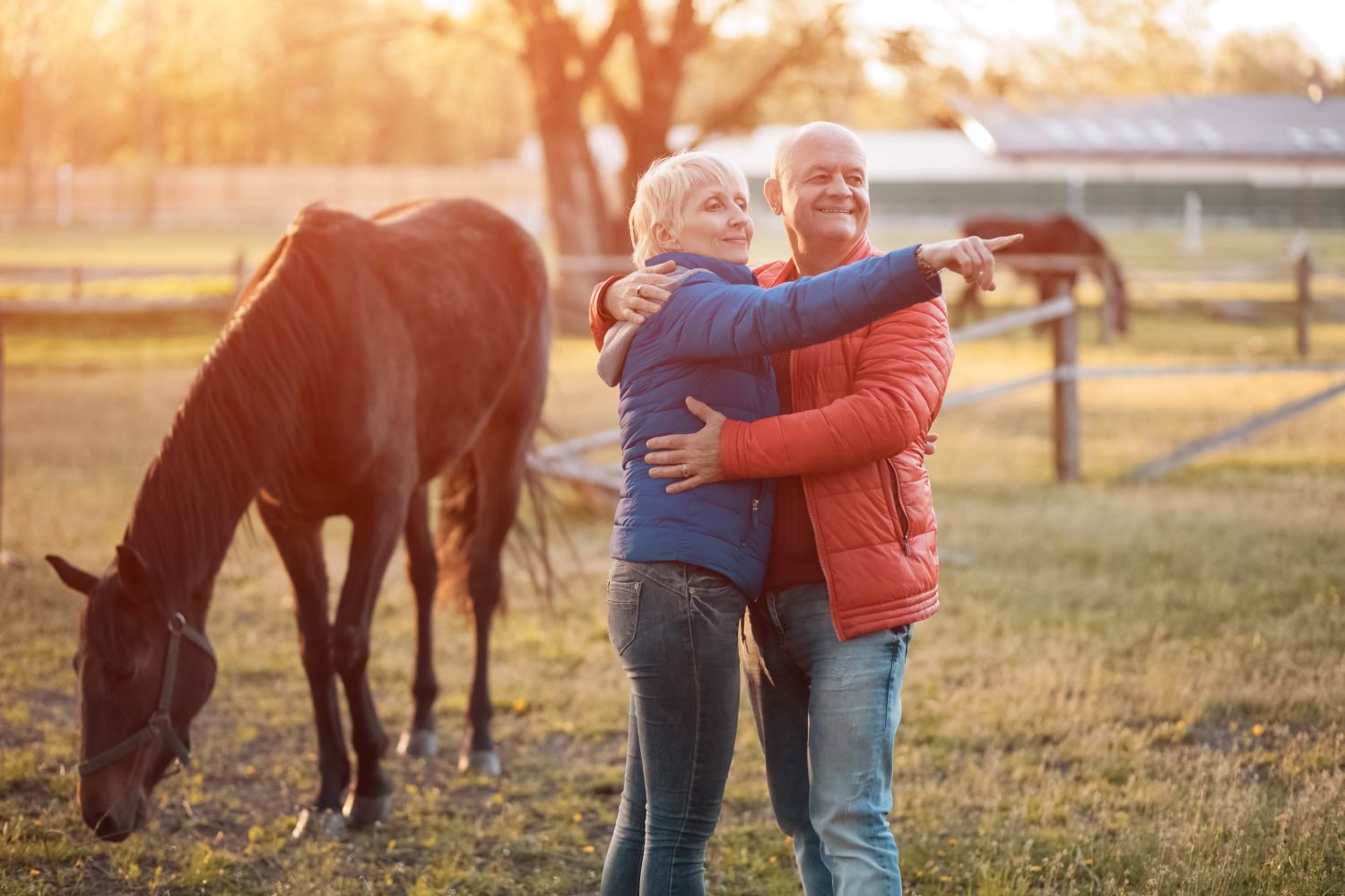 A mature couple, a man and a woman, embrace in a sunlit field with horses. The woman, wearing a blue puffer jacket and jeans, points to the right, while the man, in a red puffer jacket and jeans, smiles. A brown horse grazes in the foreground on the left, and another horse is visible in the distant background near a wooden fence.