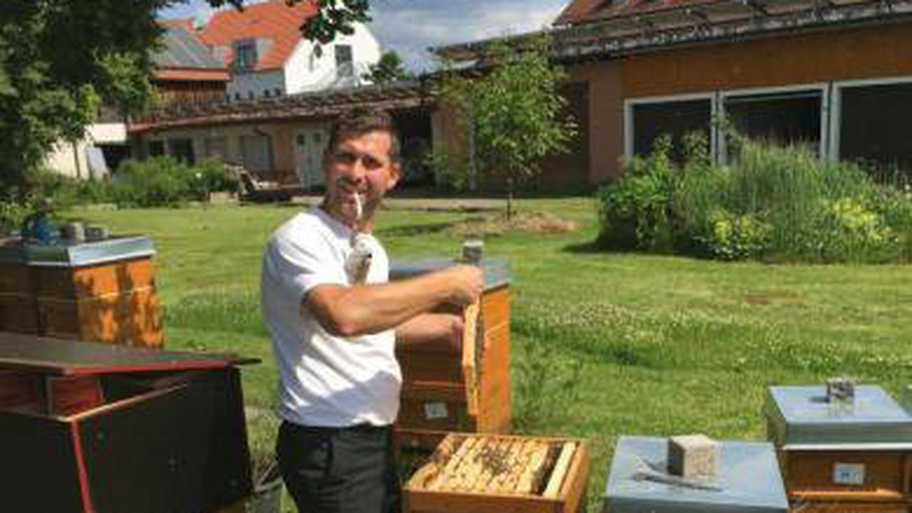 Bienenzüchter in Weiherhammer hoffen auf gute Honigernte
