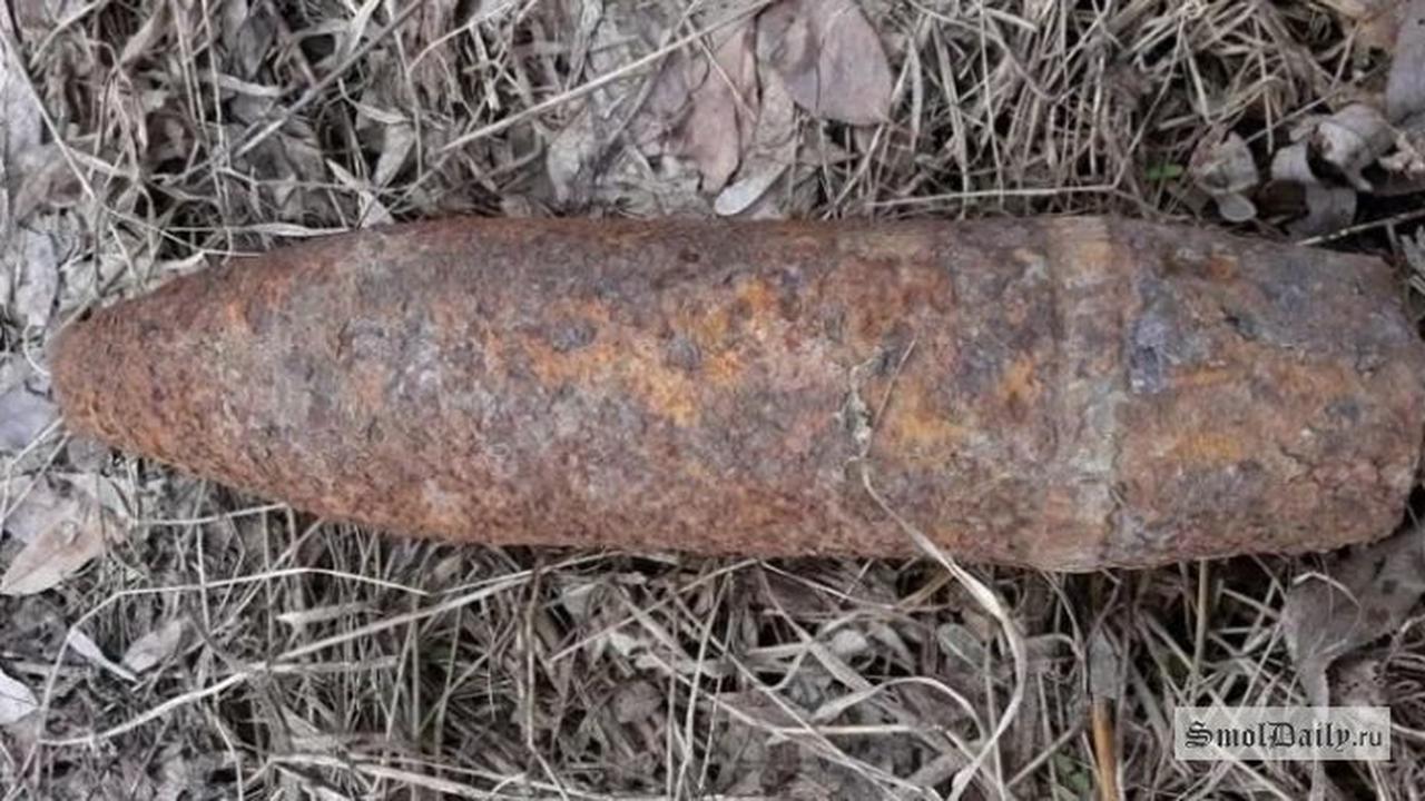 В Смоленском районе уничтожили взрывоопасный снаряд времён ВОВ
