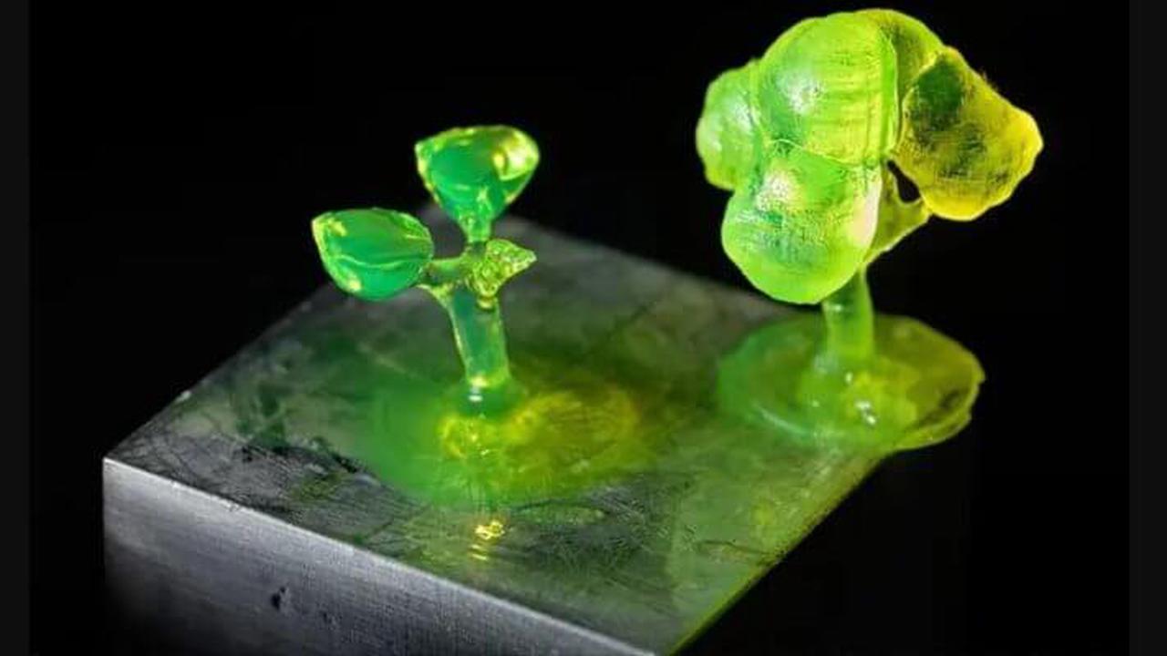 US-Forscher stellen aus Lignin ein biobasiertes 3D-Druck-Material her