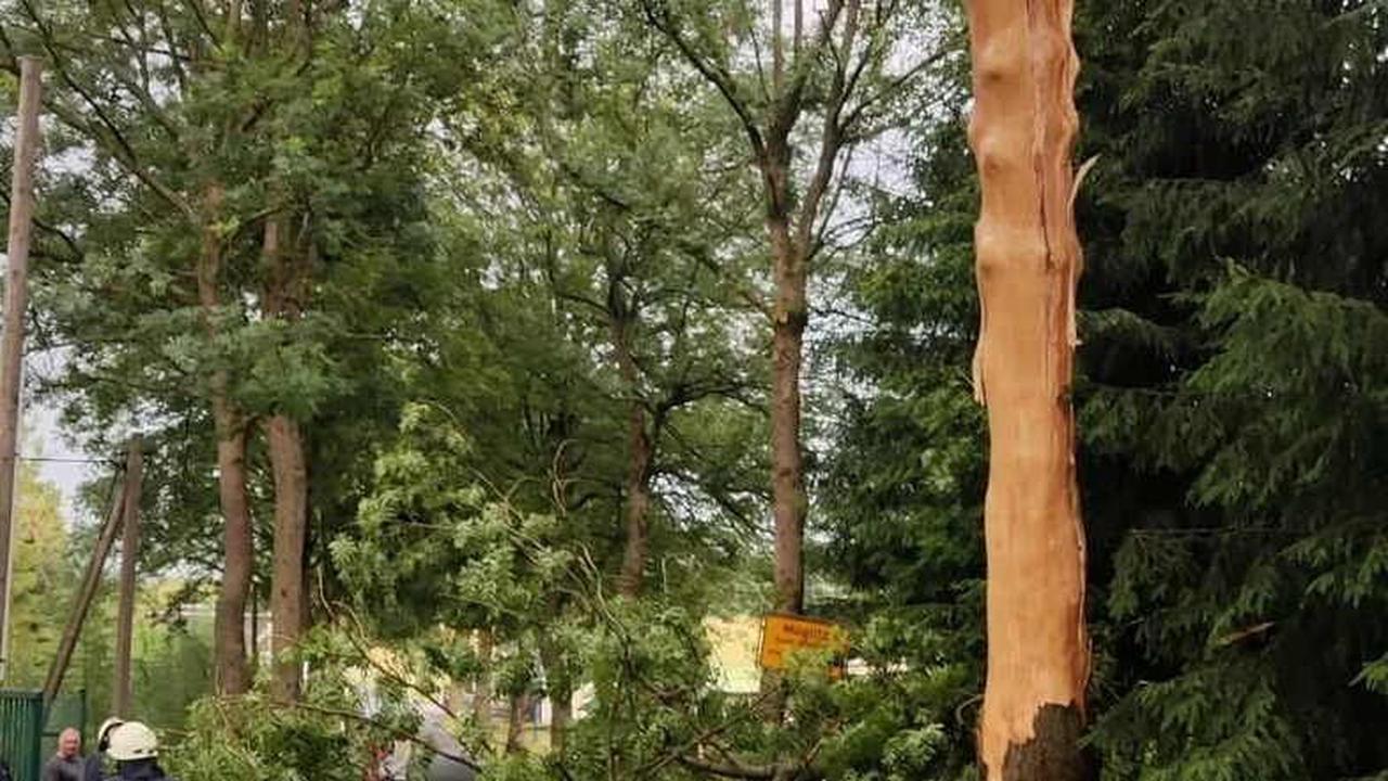 Glashütte und Altenberg: Blitzschlag, Geröll und Bäume blockieren Straßen