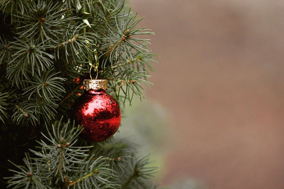 Vallejo Ca Christmas Tree Pickup 2022 Curbside Christmas Tree Recycling Begins Jan. 3 - Opera News