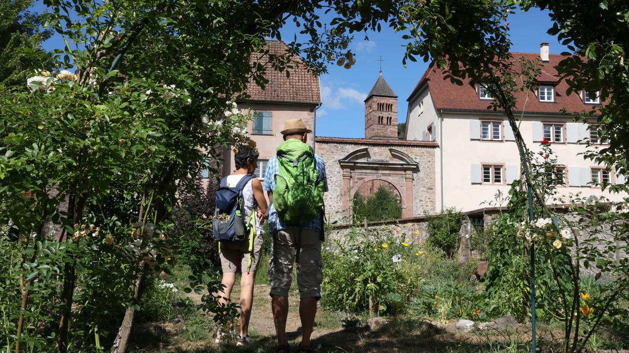 Le jardin médiéval de Murbach en pleine renaissance
